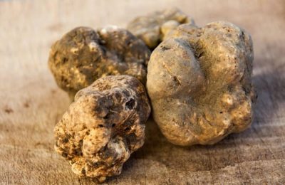 Tartufo e prodotti artigianali Mari Fedele Tartufi, Campello sul Clitunno — galleria 04 Tartufo e prodotti artigianali Mari Fedele Tartufi, Campello sul Clitunno — galleria 04
