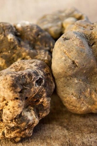 Tartufo e prodotti artigianali Mari Fedele Tartufi, Campello sul Clitunno — galleria 04
