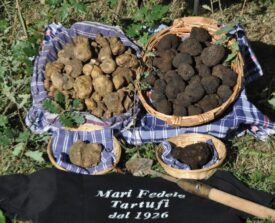Salse tartufate senza aromi aggiunti, laboratorio Mari Fedele Tartufi Salse tartufate senza aromi aggiunti, laboratorio Mari Fedele Tartufi