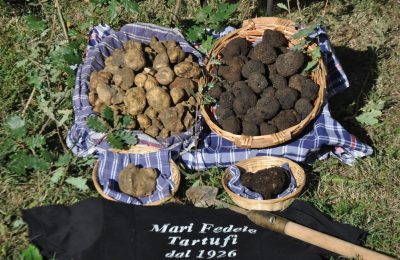 Salse tartufate senza aromi aggiunti, laboratorio Mari Fedele Tartufi Salse tartufate senza aromi aggiunti, laboratorio Mari Fedele Tartufi