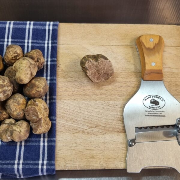 Tartufo Bianco fresco — galleria 02 — Mari Fedele Tartufi, Campello sul Clitunno