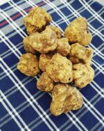 Tartufo Bianco fresco — Mari Fedele Tartufi, Campello sul Clitunno