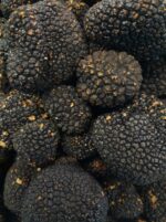 Tartufo Estivo fresco — galleria 02 — Mari Fedele Tartufi, Campello sul Clitunno