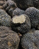 Tartufo Estivo fresco — galleria 03 — Mari Fedele Tartufi, Campello sul Clitunno