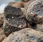 Tartufo Nero Pregiato fresco — Mari Fedele Tartufi, Campello sul Clitunno