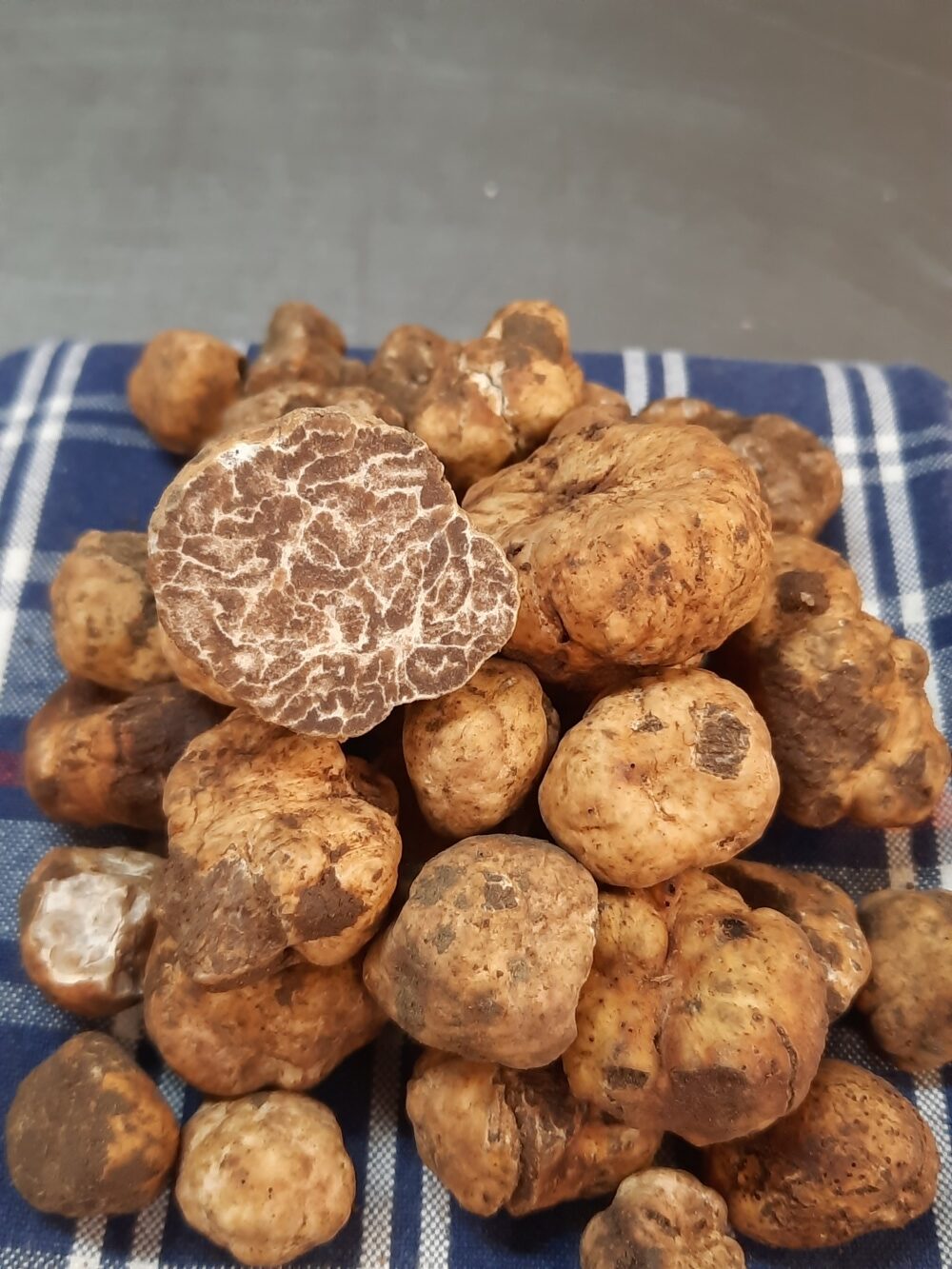 Tartufo Bianchetto Fresco — Mari Fedele Tartufi, Campello sul Clitunno Tartufo Bianchetto Fresco — Mari Fedele Tartufi, Campello sul Clitunno